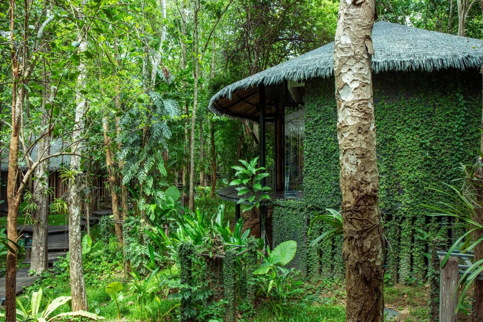 Garden in Sanctuary Kanchanaburi