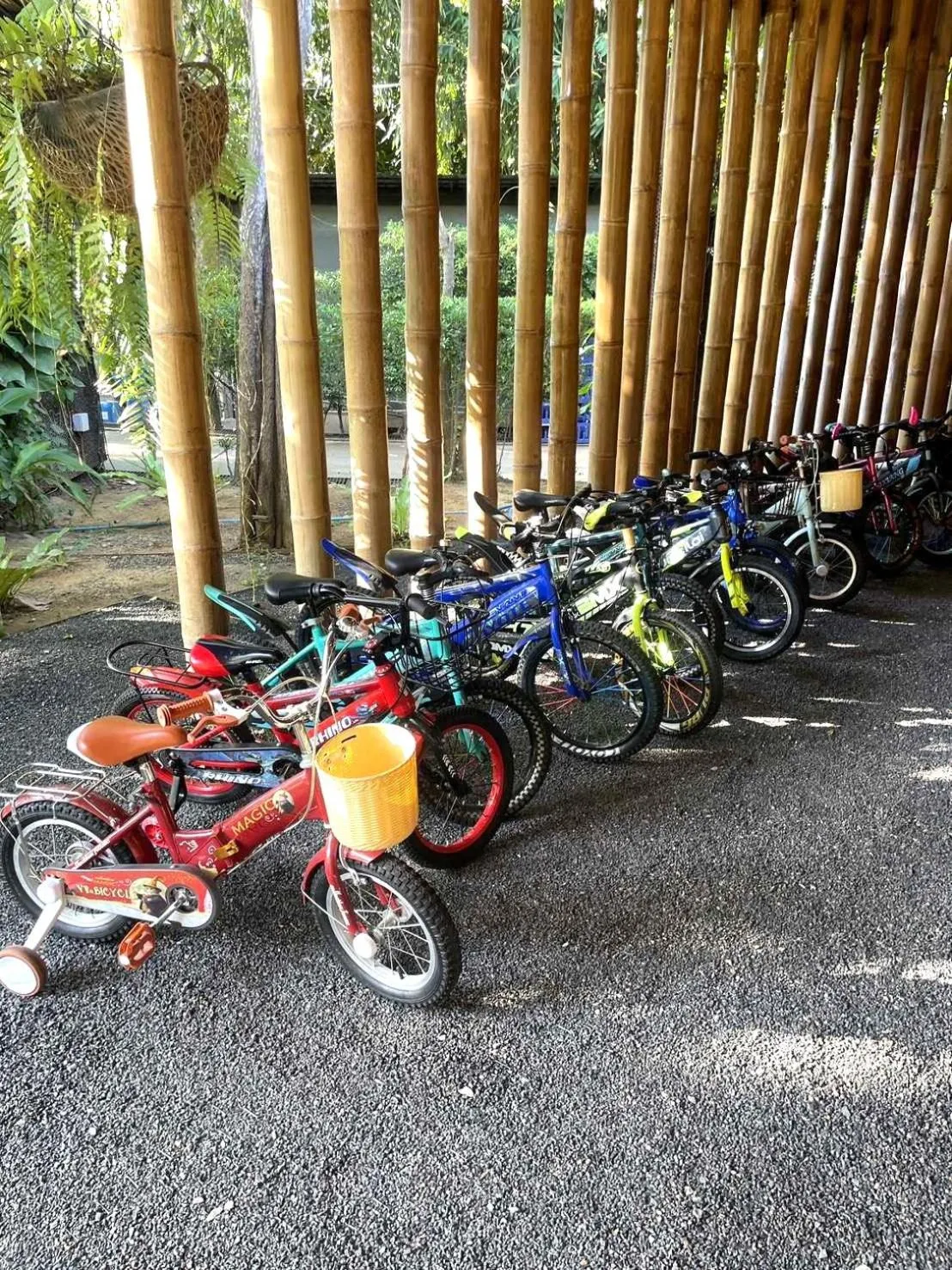 Day in Sanctuary Kanchanaburi