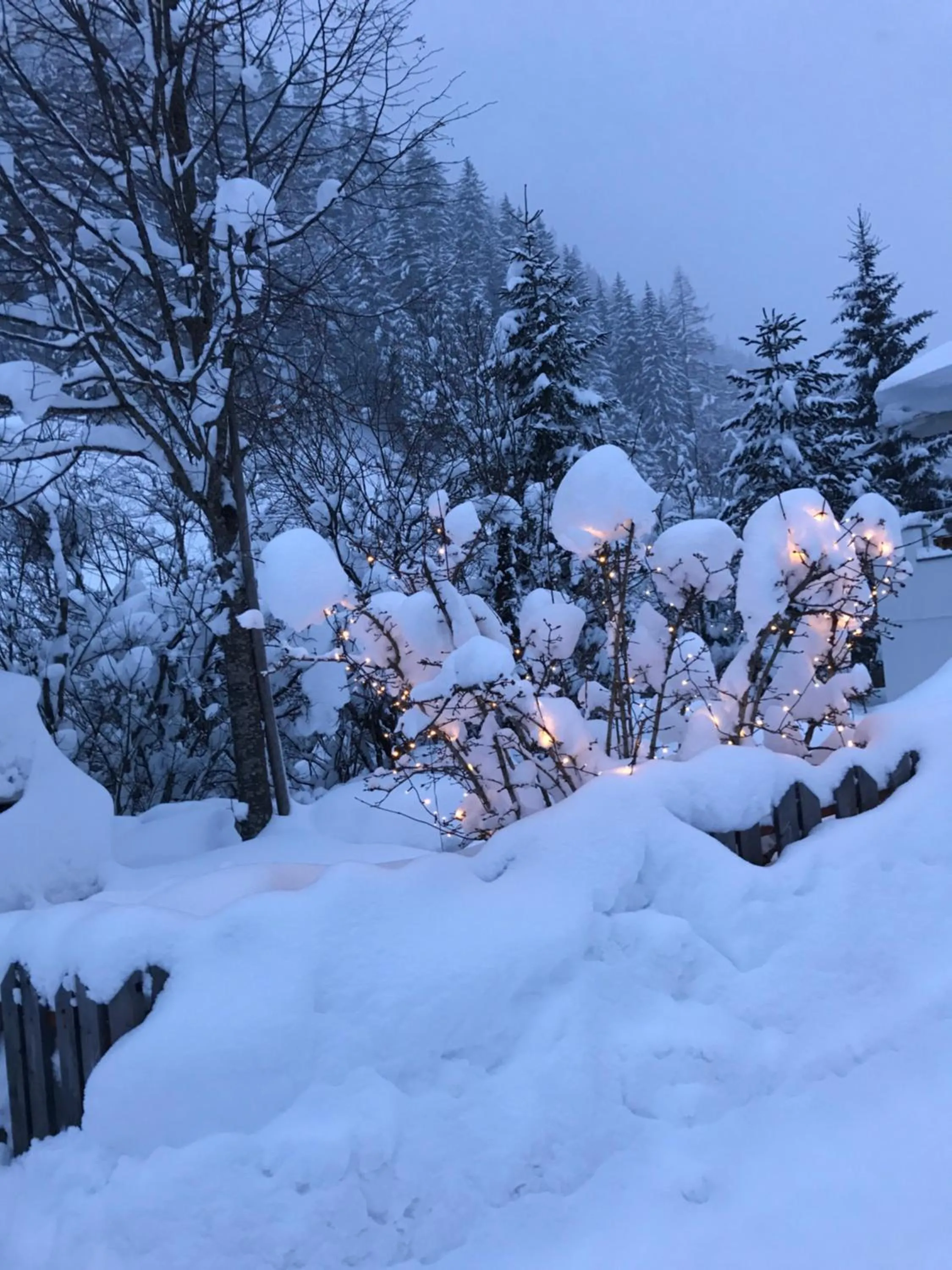 Winter in AlpinDesign Kaunertal