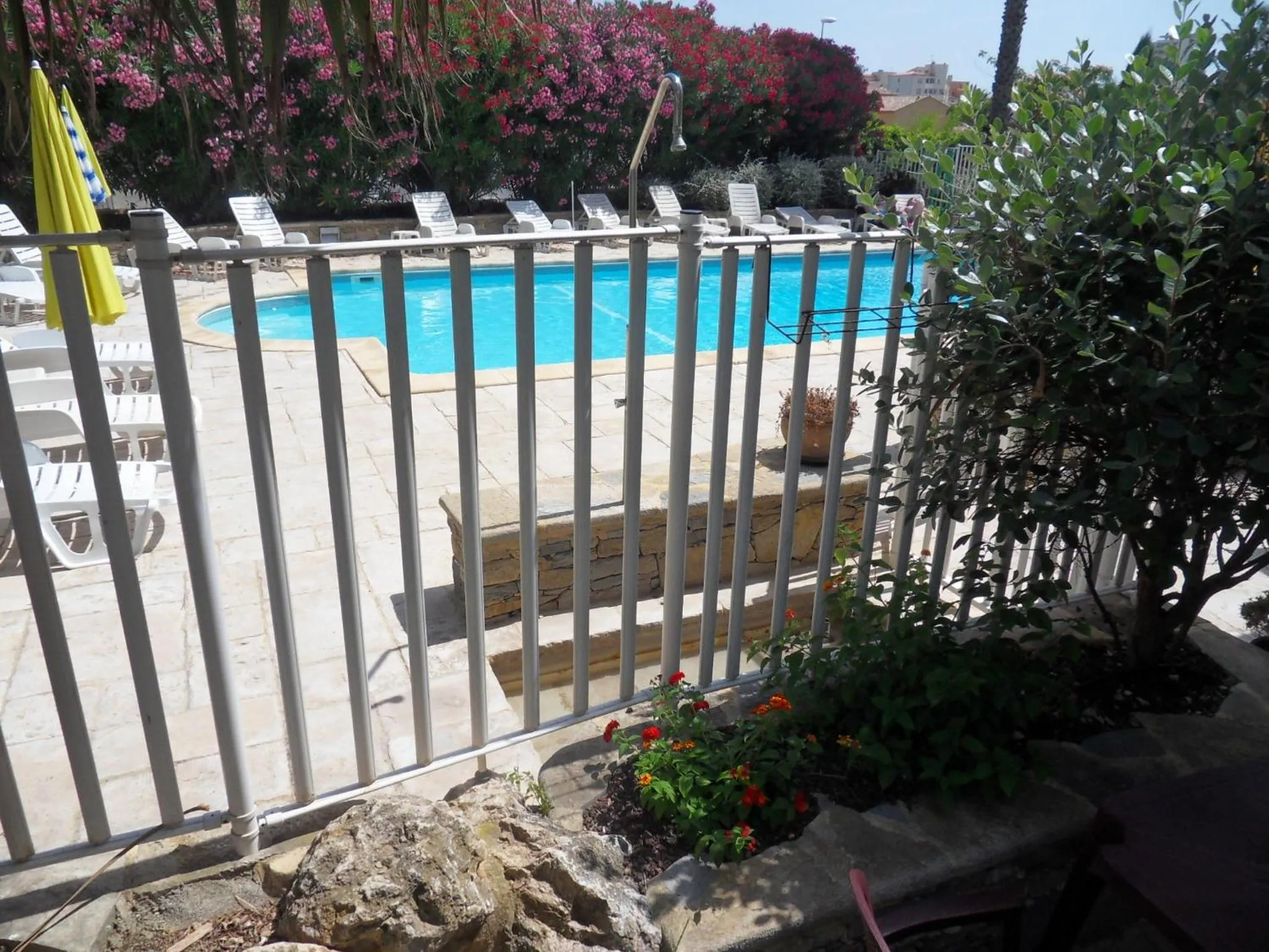 Pool view in Hotel Albizzia