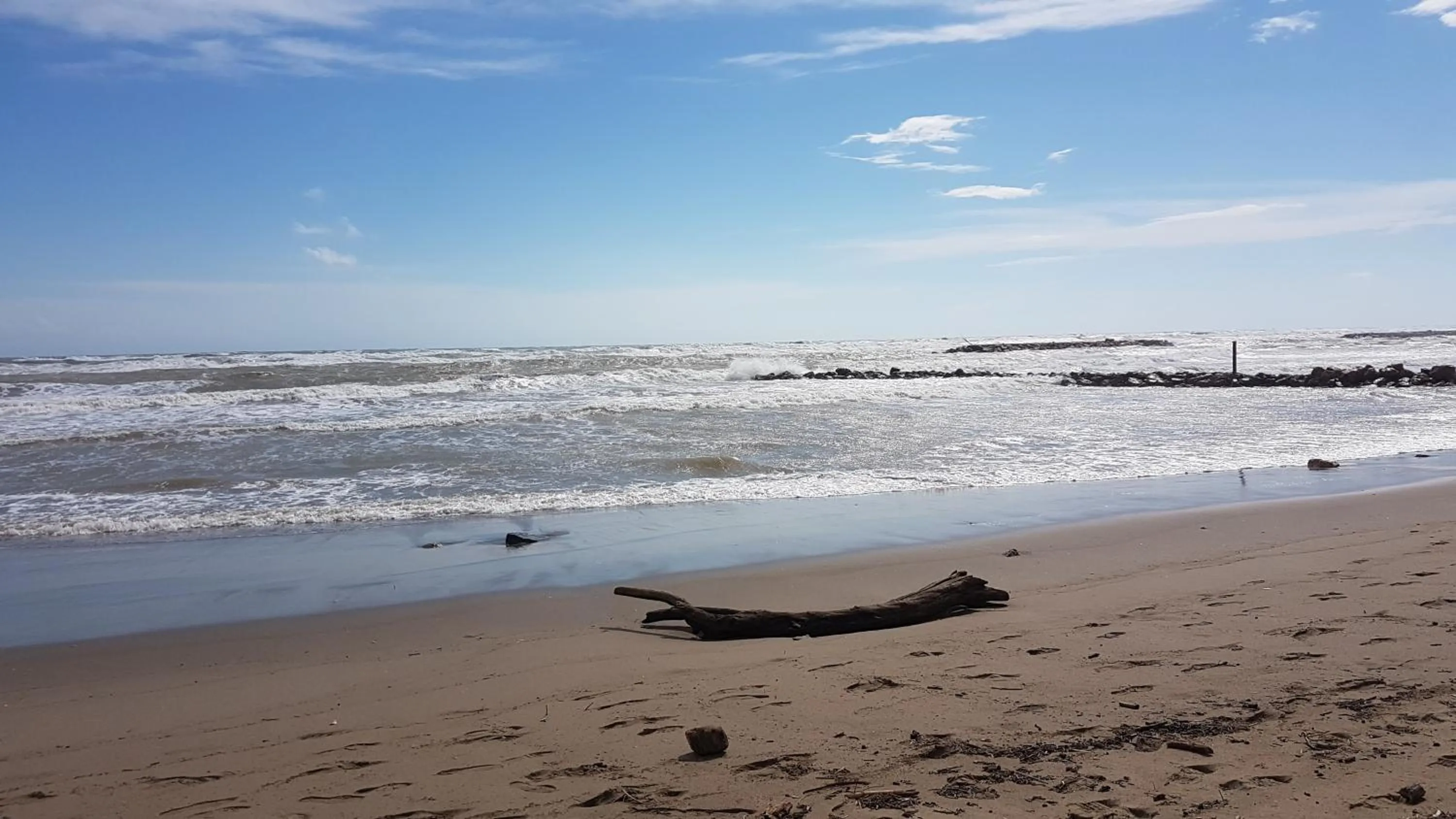 Entertainment in Hotel Albizzia