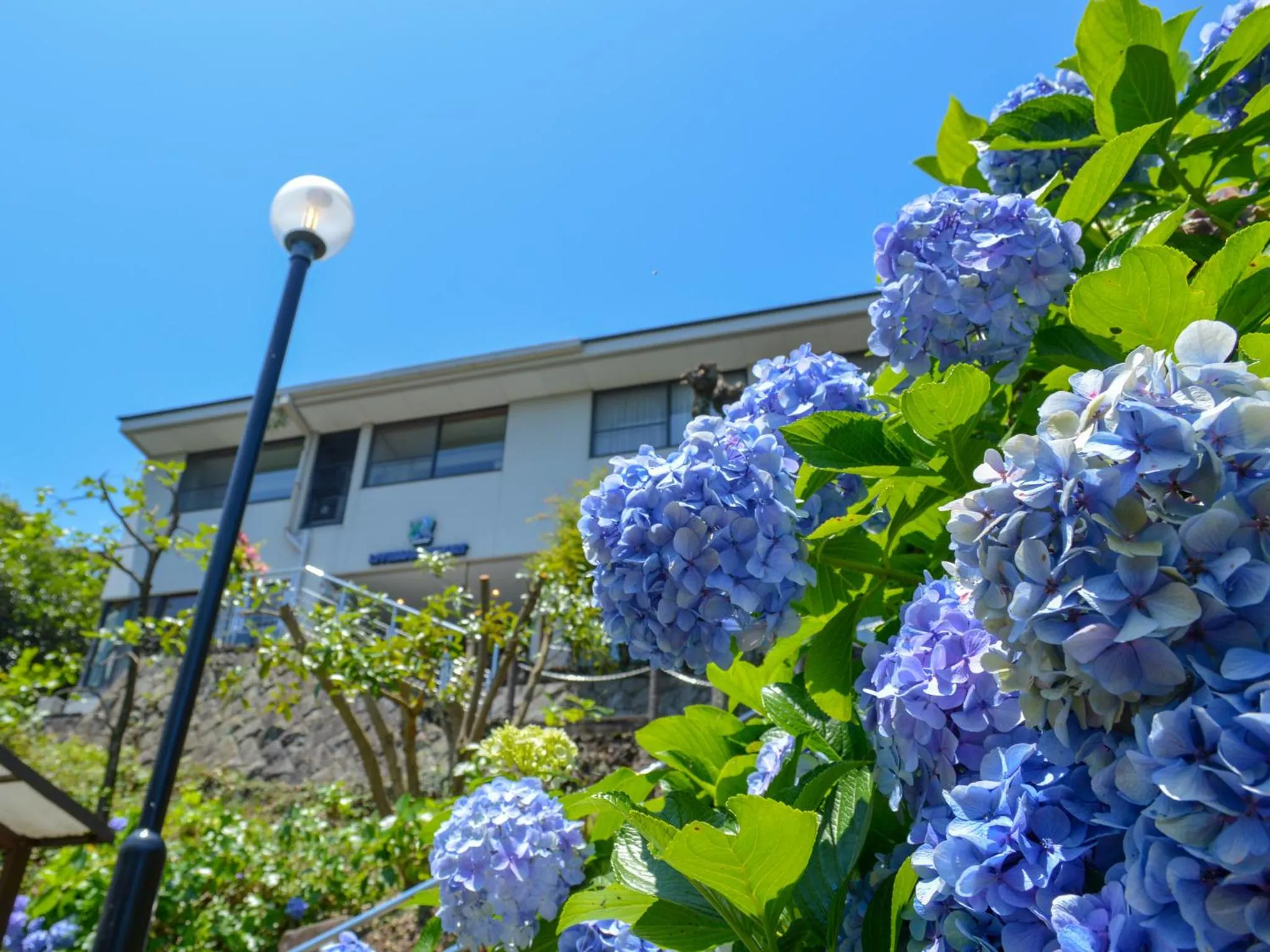 Property building in LiVEMAX RESORT izukogen