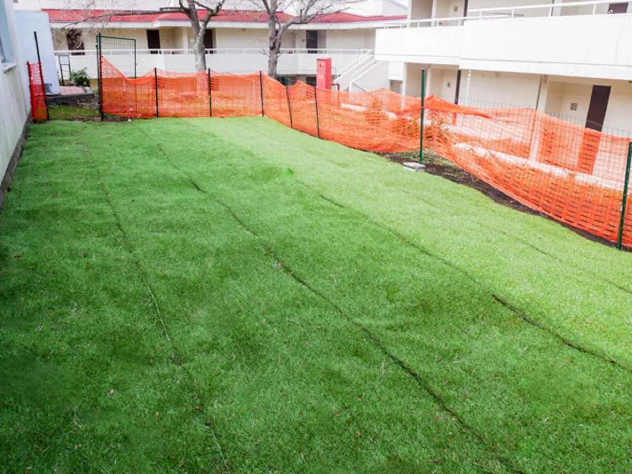 Activities in LiVEMAX RESORT Ito Kawana