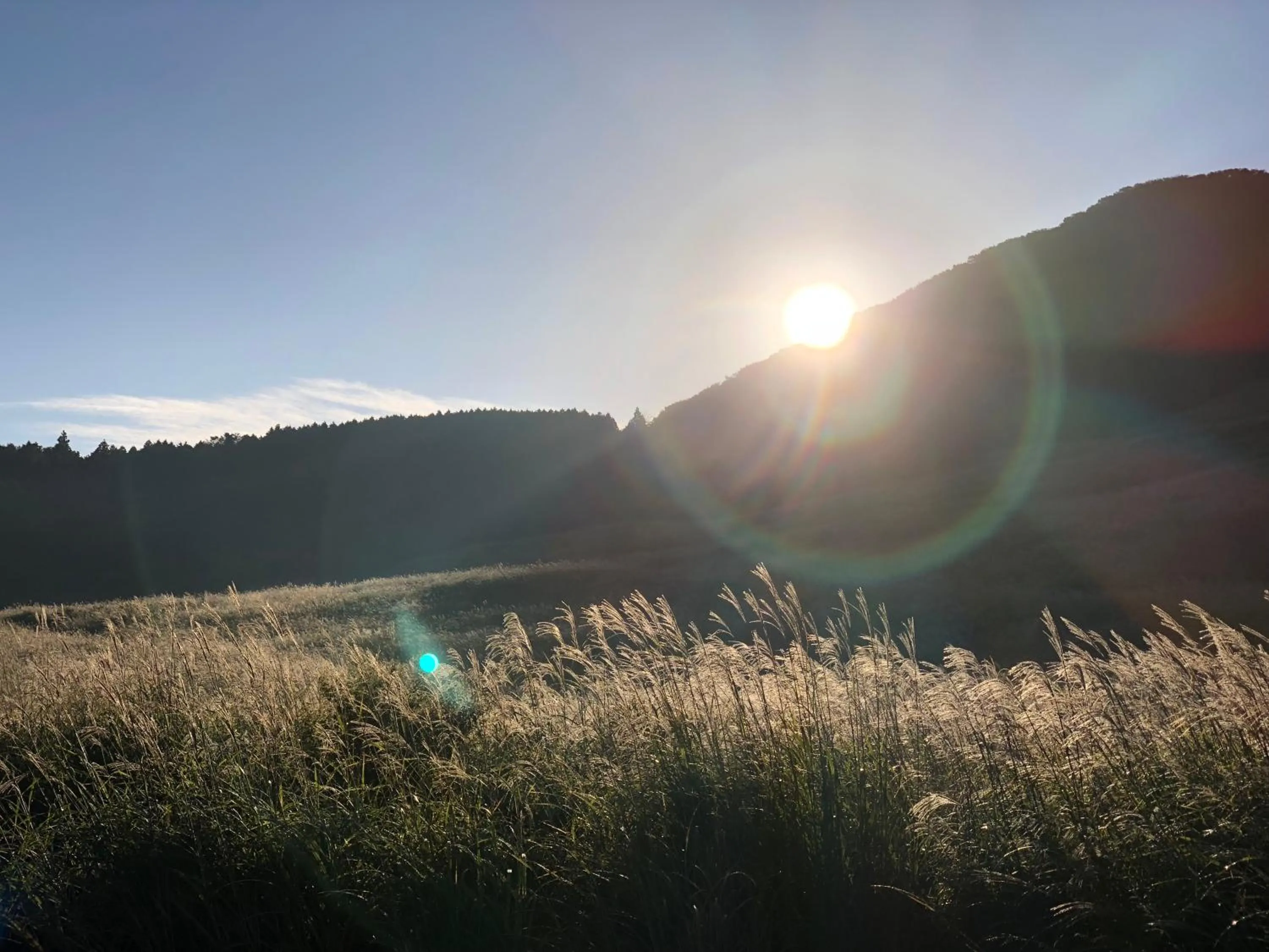 Natural landscape in EN RESORT Re'Cove Hakone