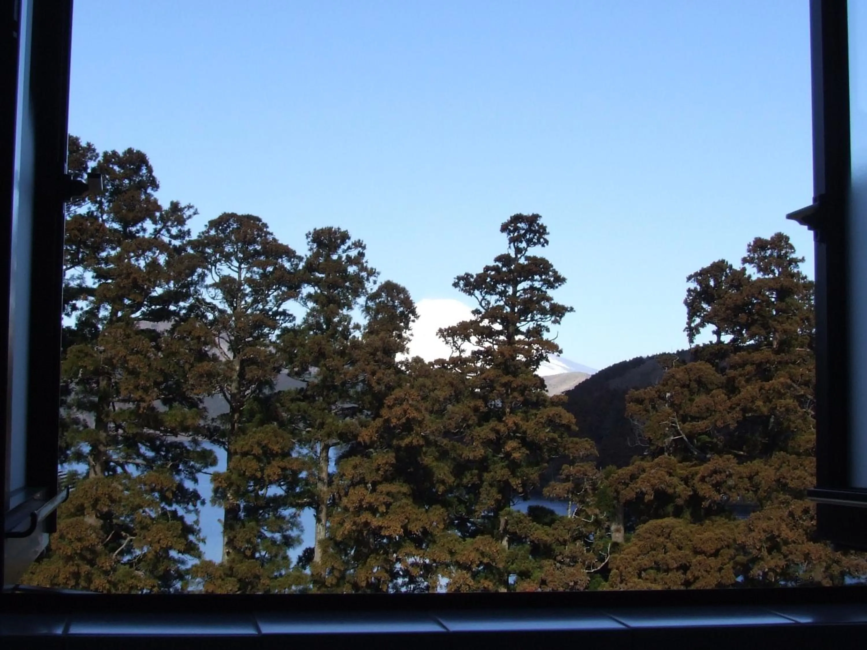 Other in Hananoyado Fukuya