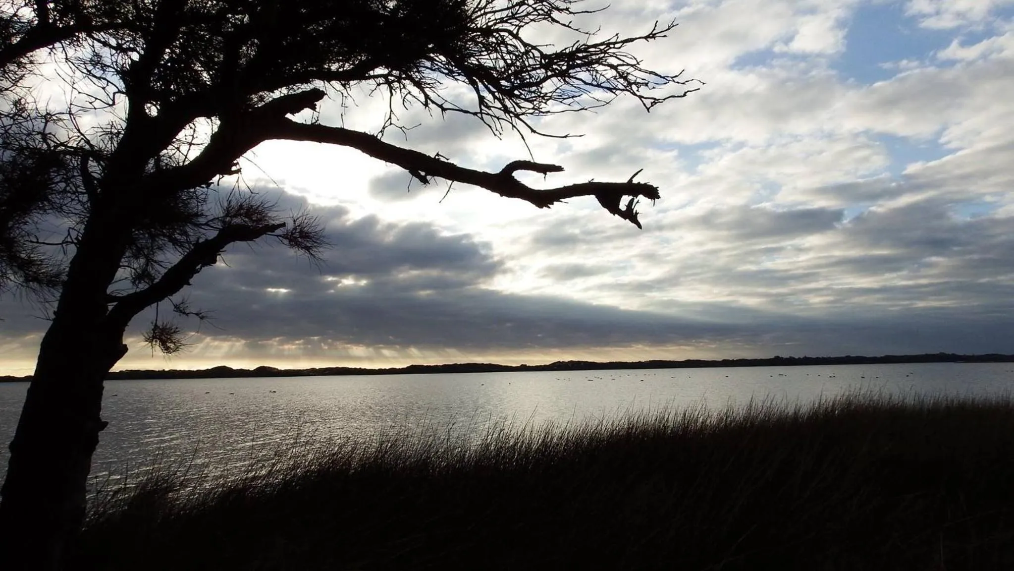 Natural landscape in Australind Tourist Park