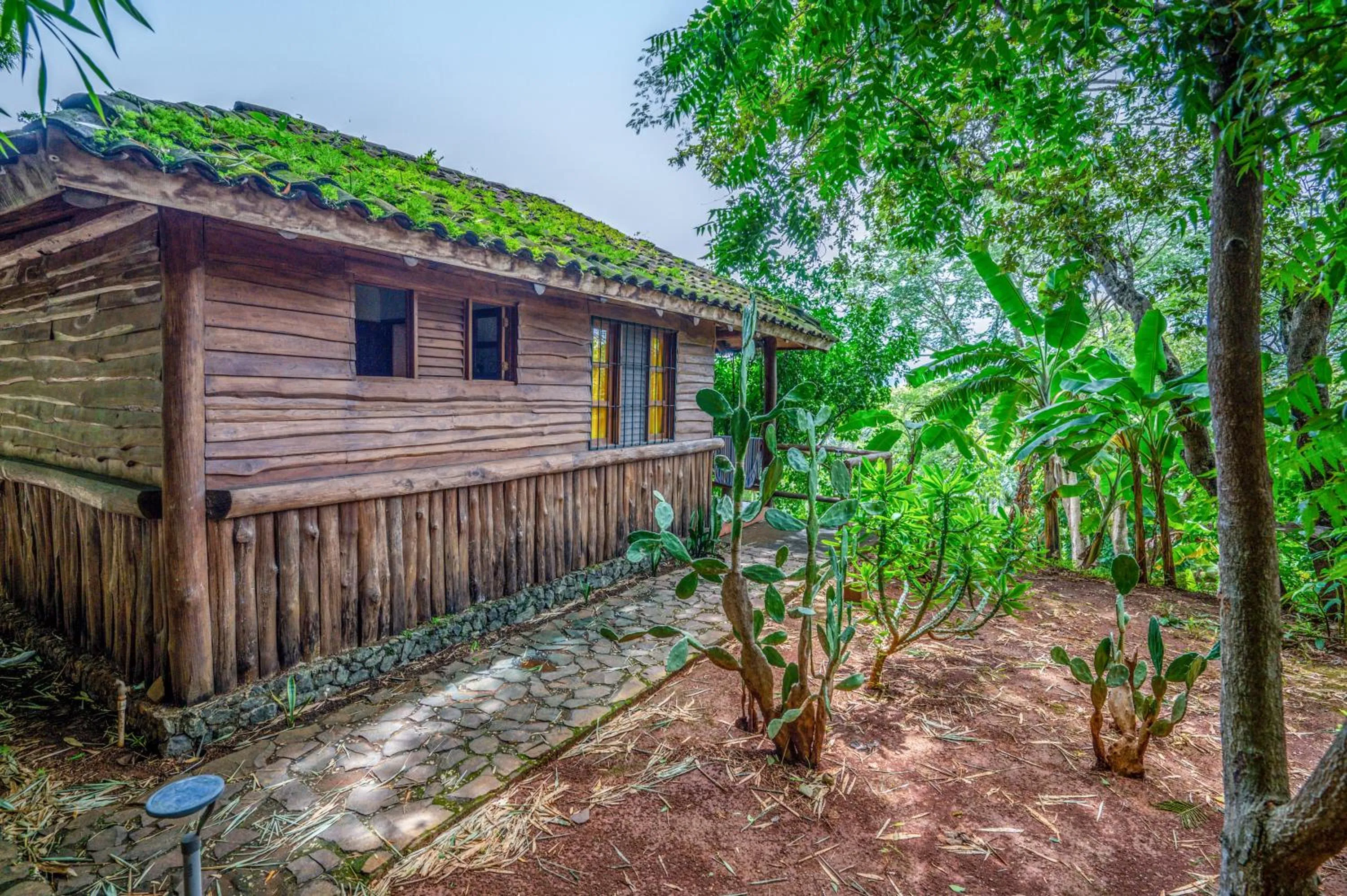 Garden view in El Sabanero Eco Lodge