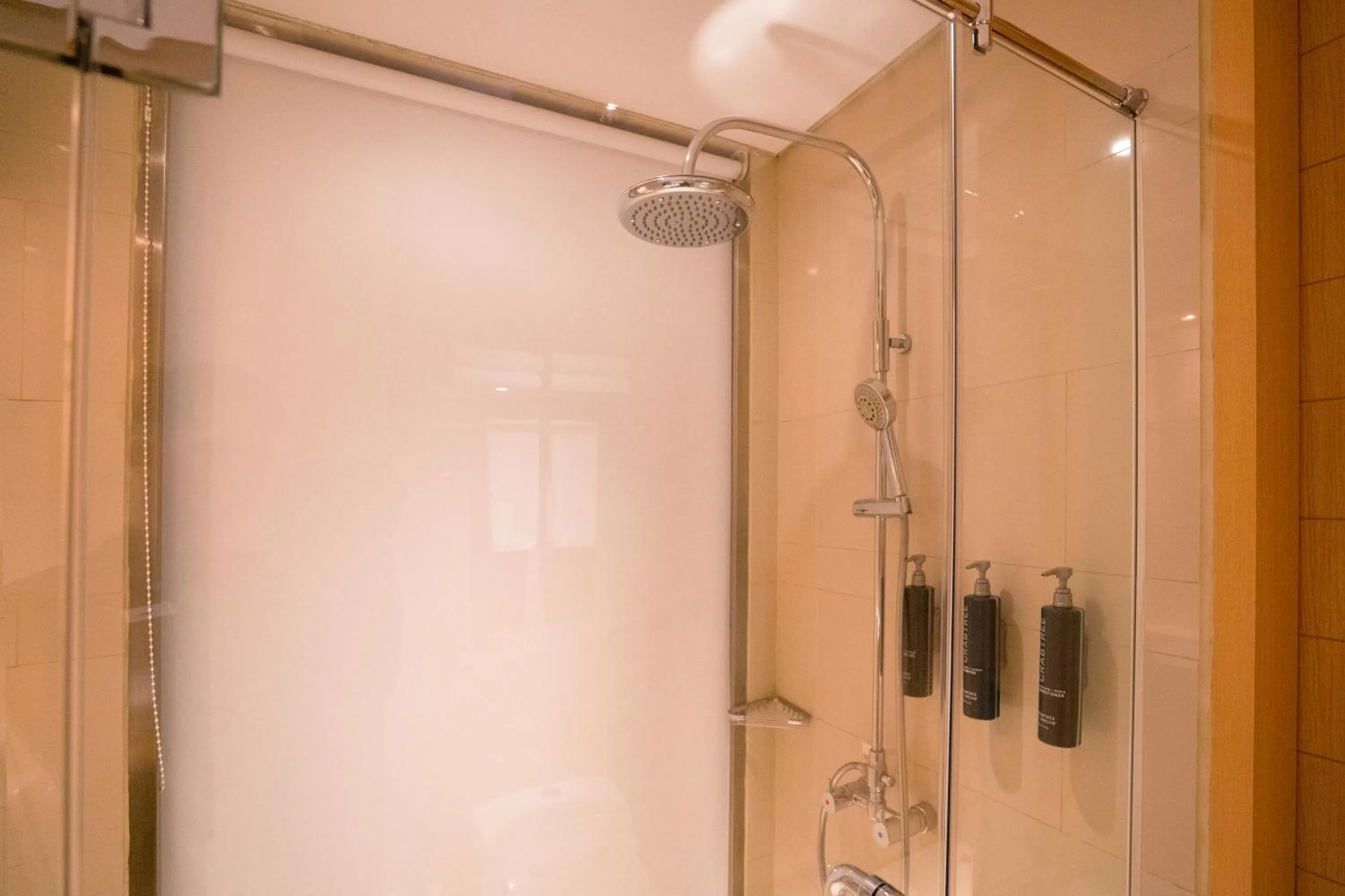 Shower in DoubleTree by Hilton Jakarta Kemayoran