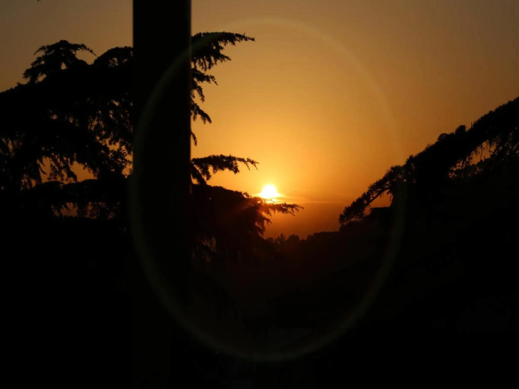 Natural landscape in D's Casa - A Unique Spanish Boutique House