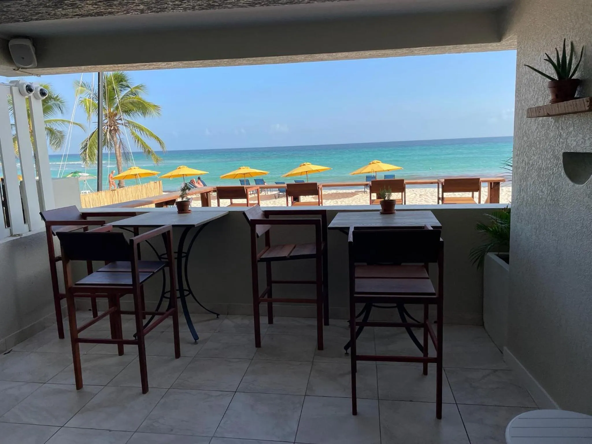 Restaurant/places to eat in Hôtel Le Roy