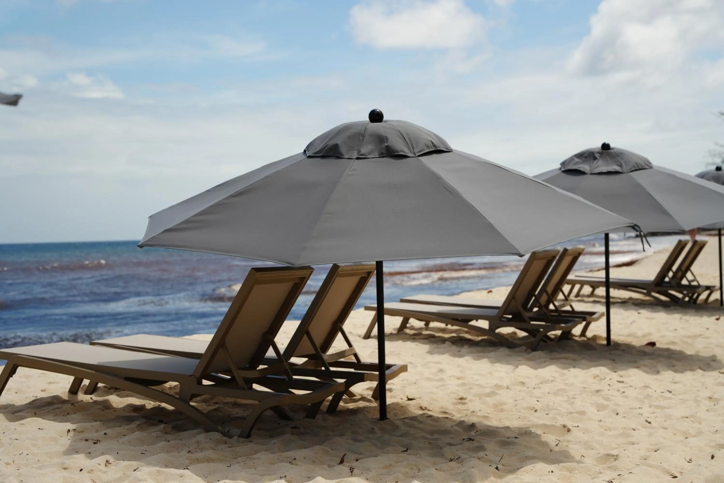 Beach in Hôtel Le Roy