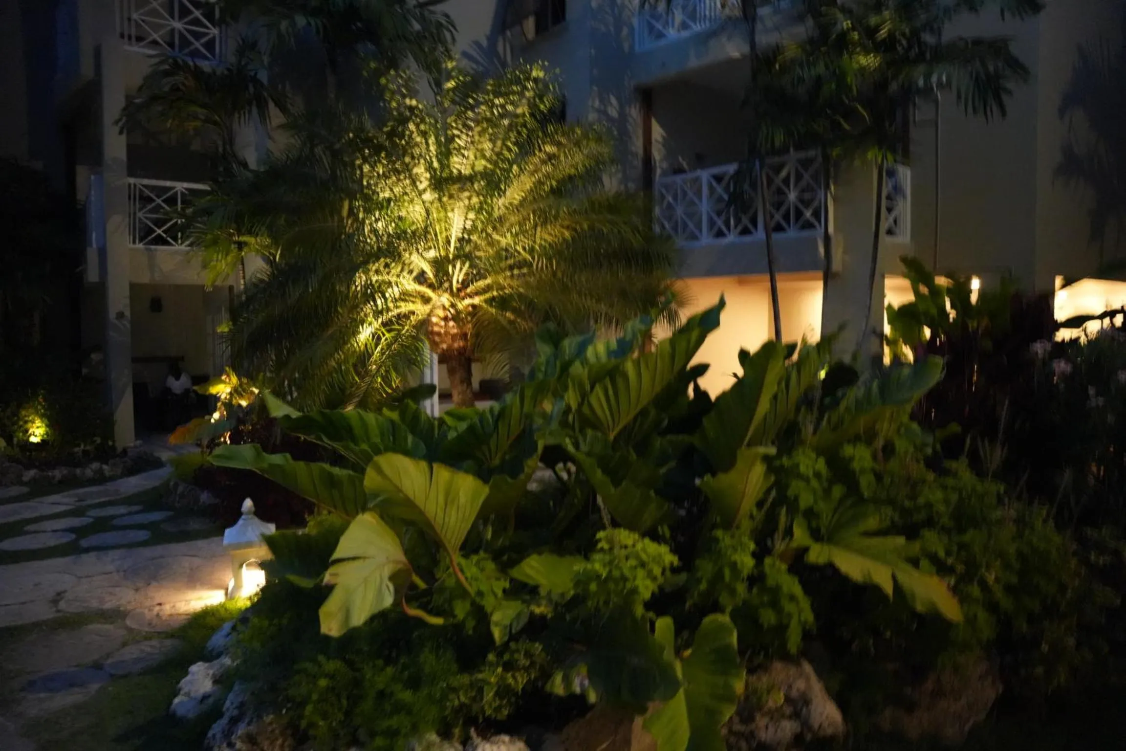 Garden in Hôtel Le Roy