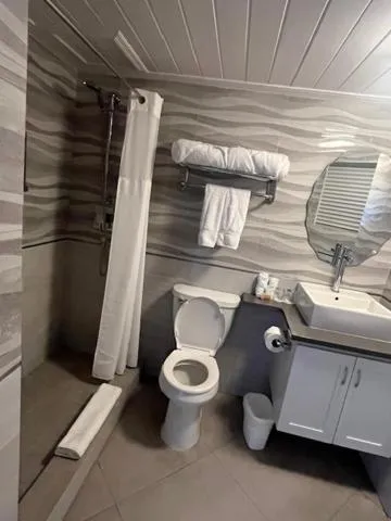 Bathroom in Hôtel Le Roy