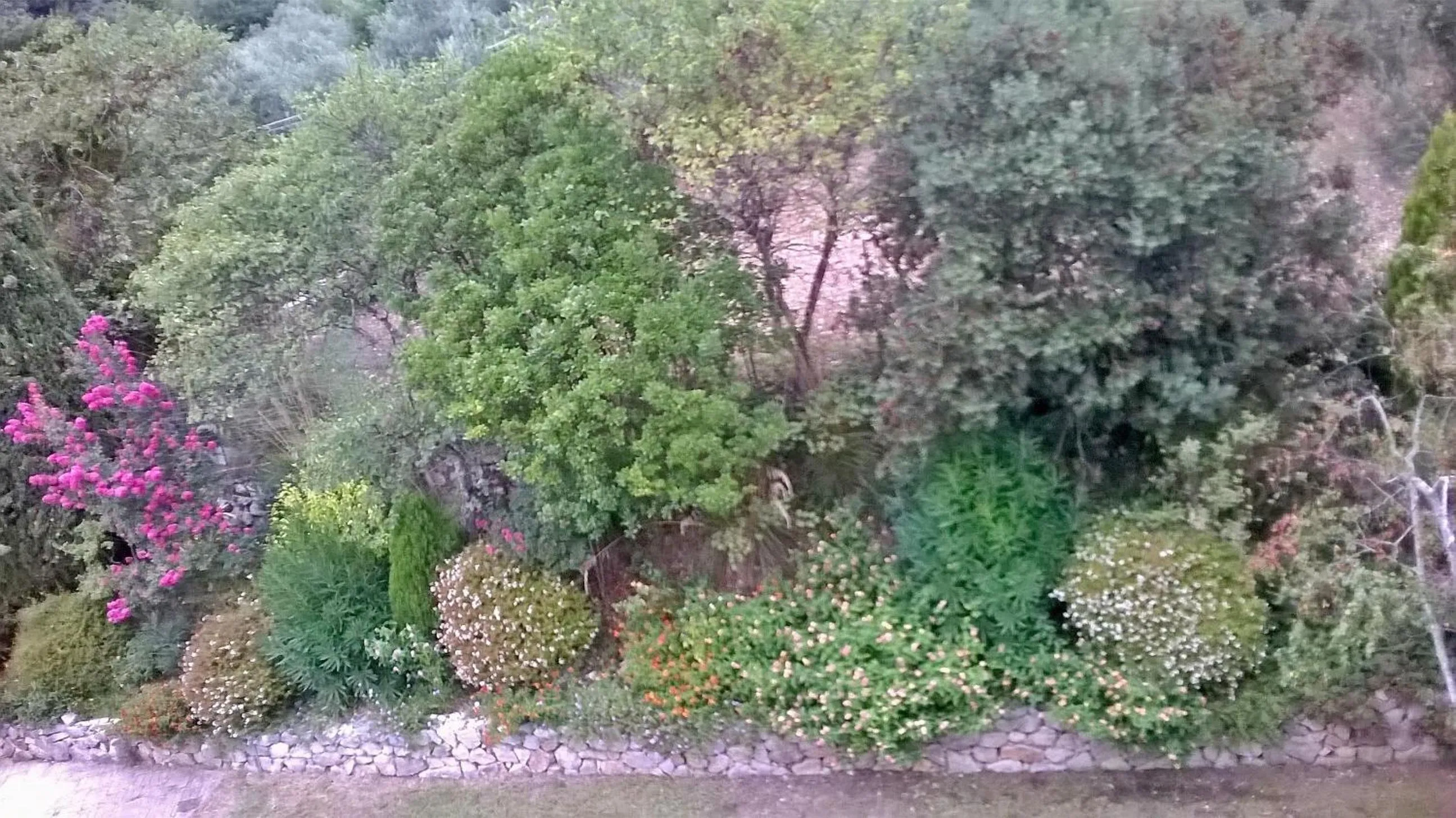 Garden view in B&B Villa Ada