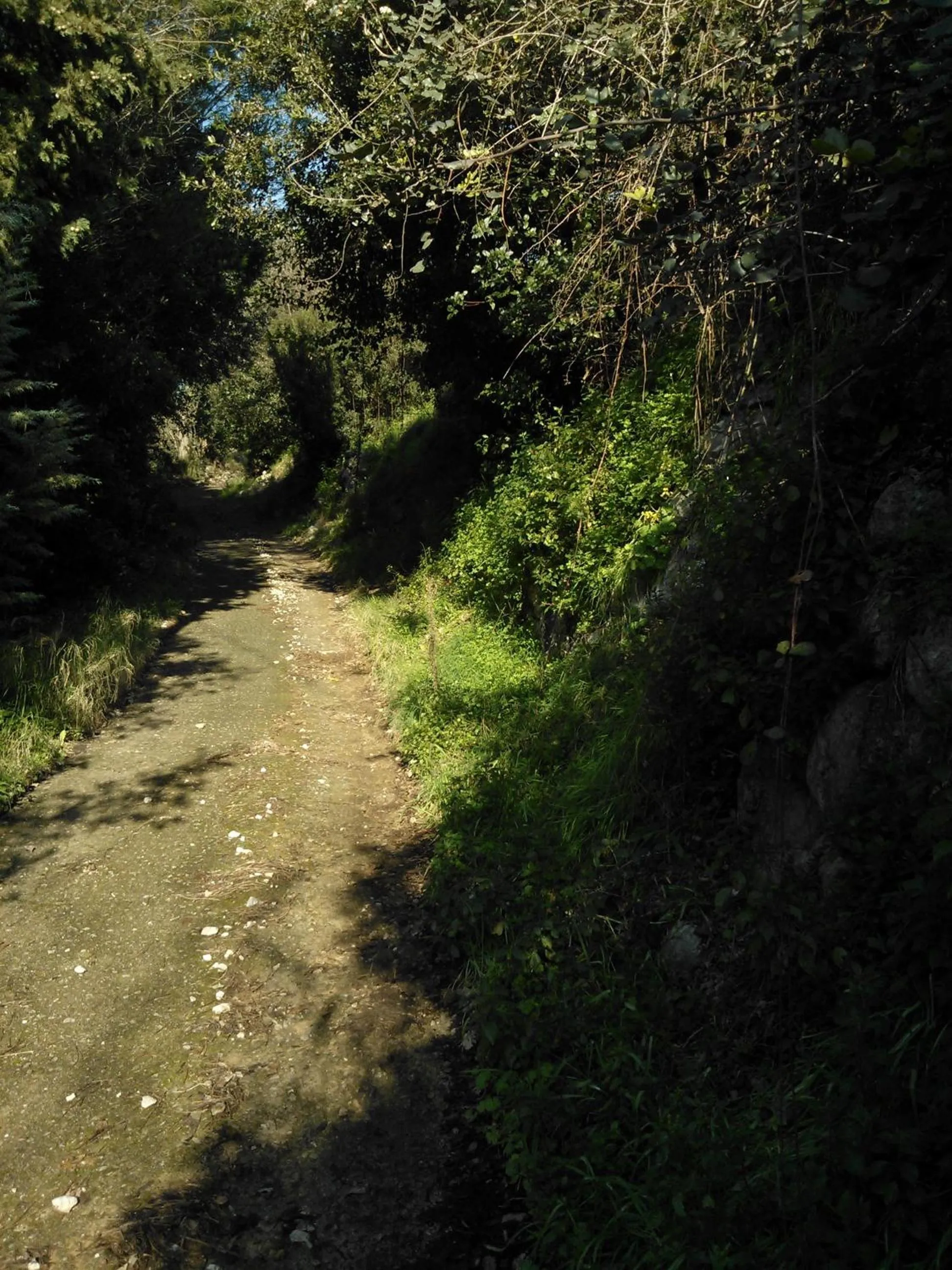 Nearby landmark in B&B Villa Ada