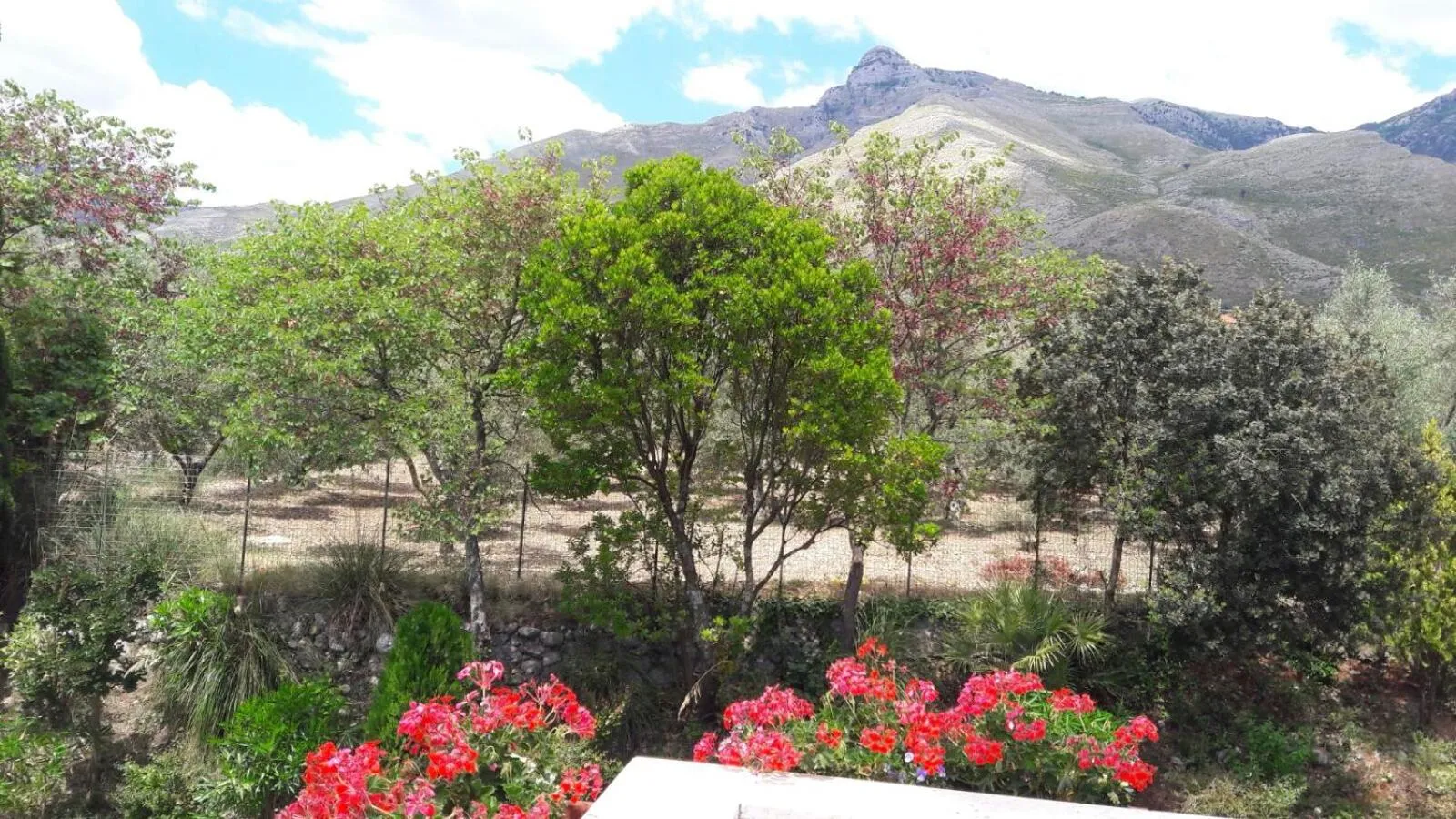 Mountain view in B&B Villa Ada