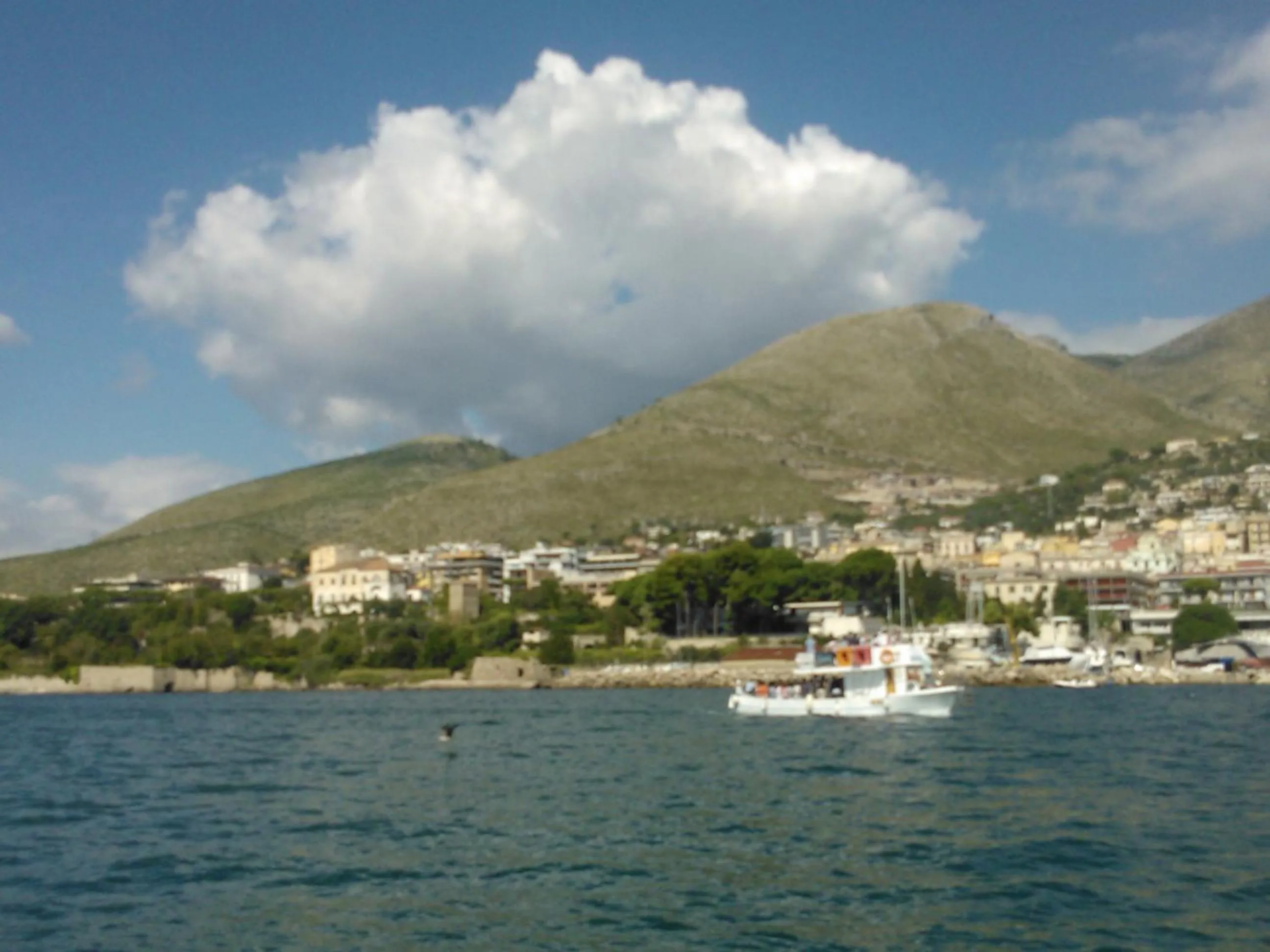 Area and facilities in B&B Villa Ada