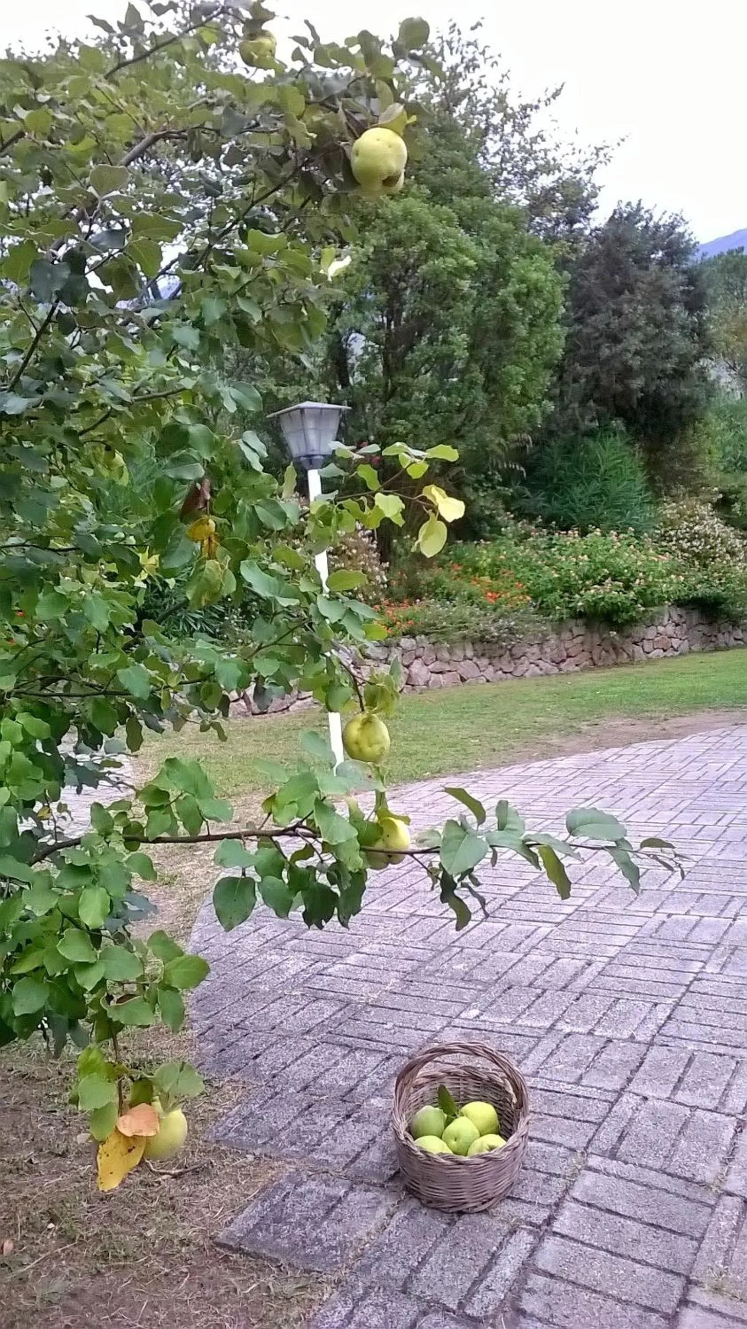 Garden in B&B Villa Ada
