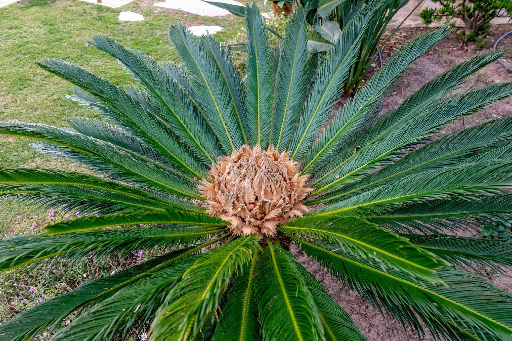 Garden in Monte Soalheiro