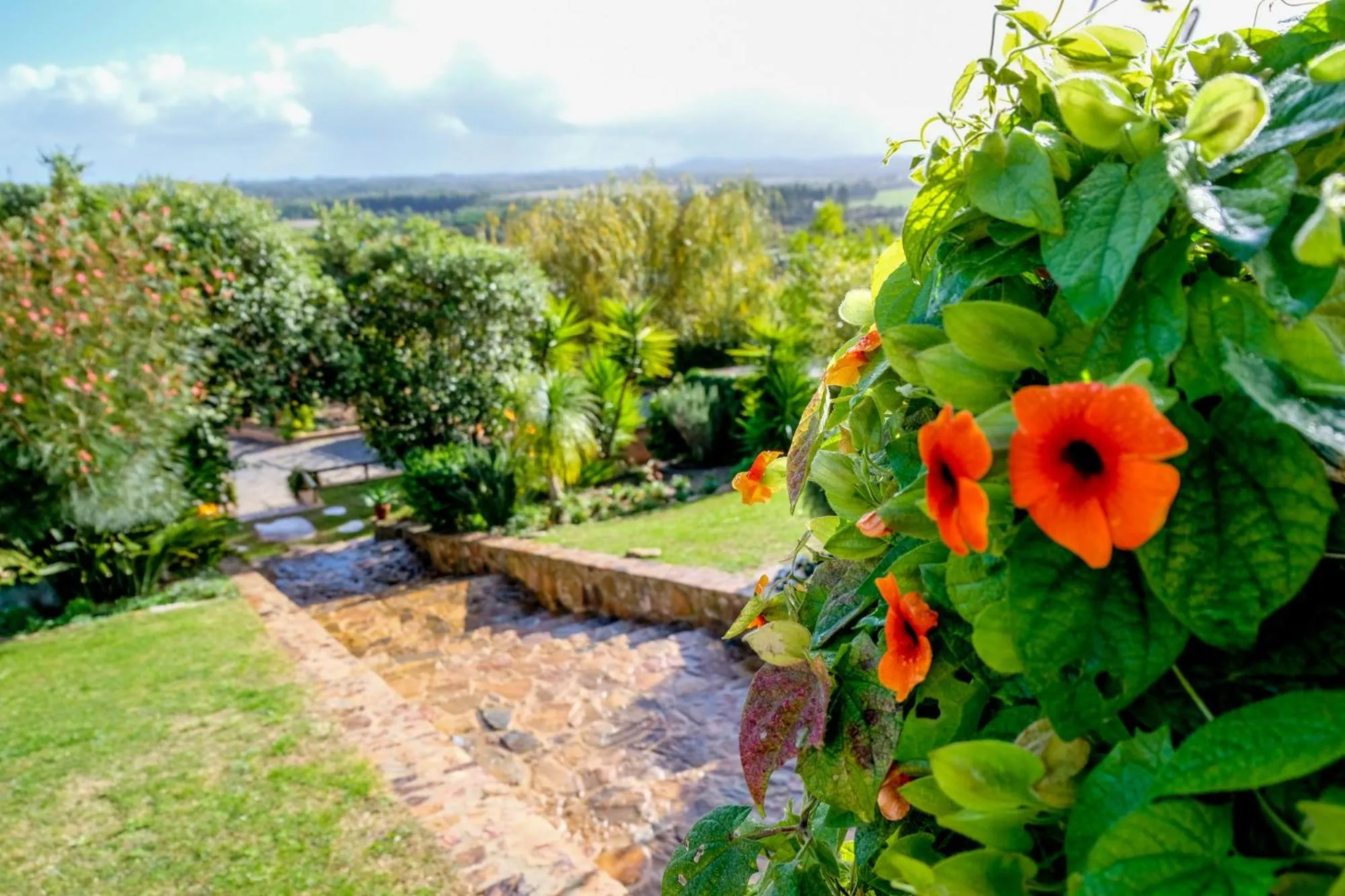 Garden in Monte Soalheiro