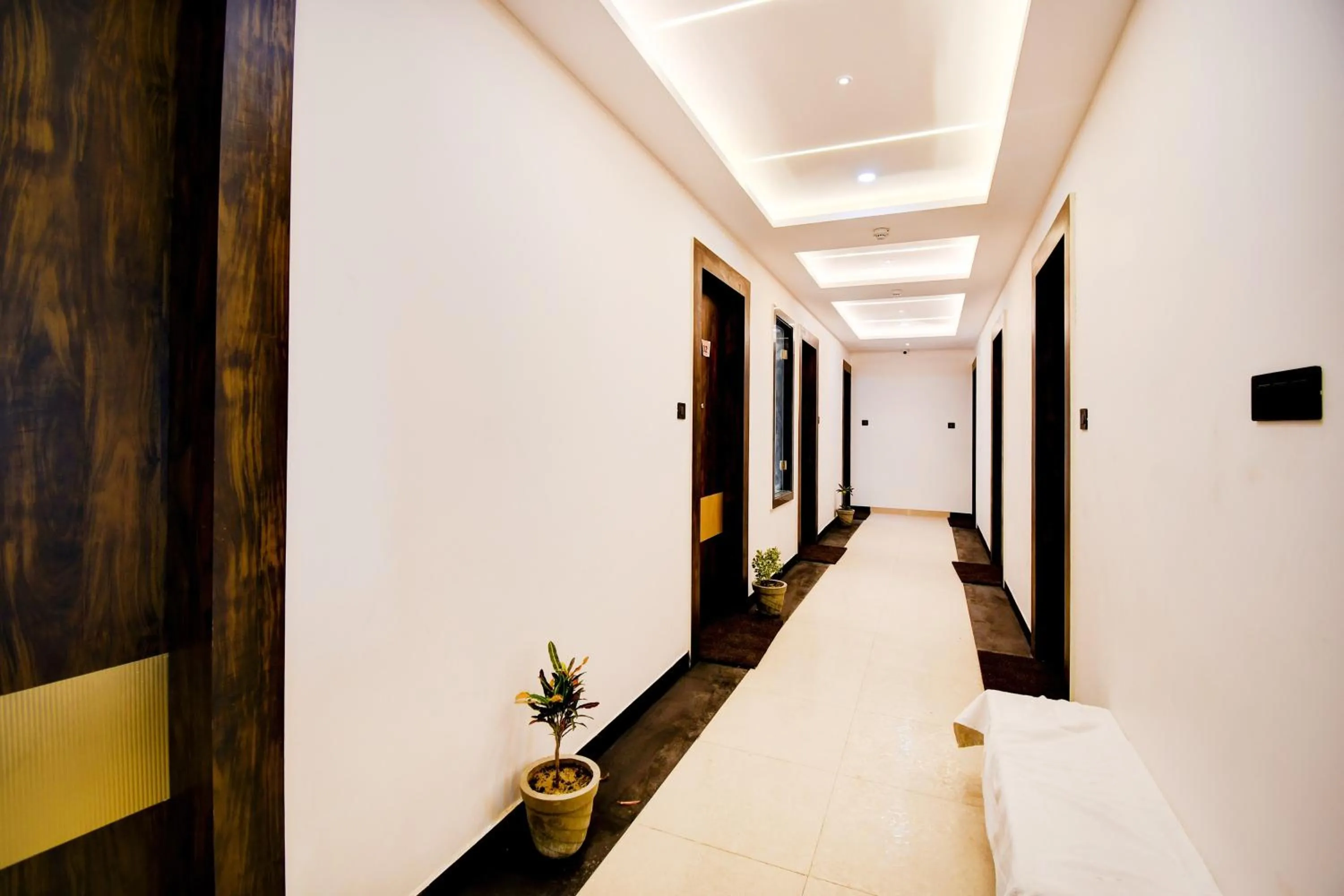 OYO Townhouse Oak Ratanpur Panki