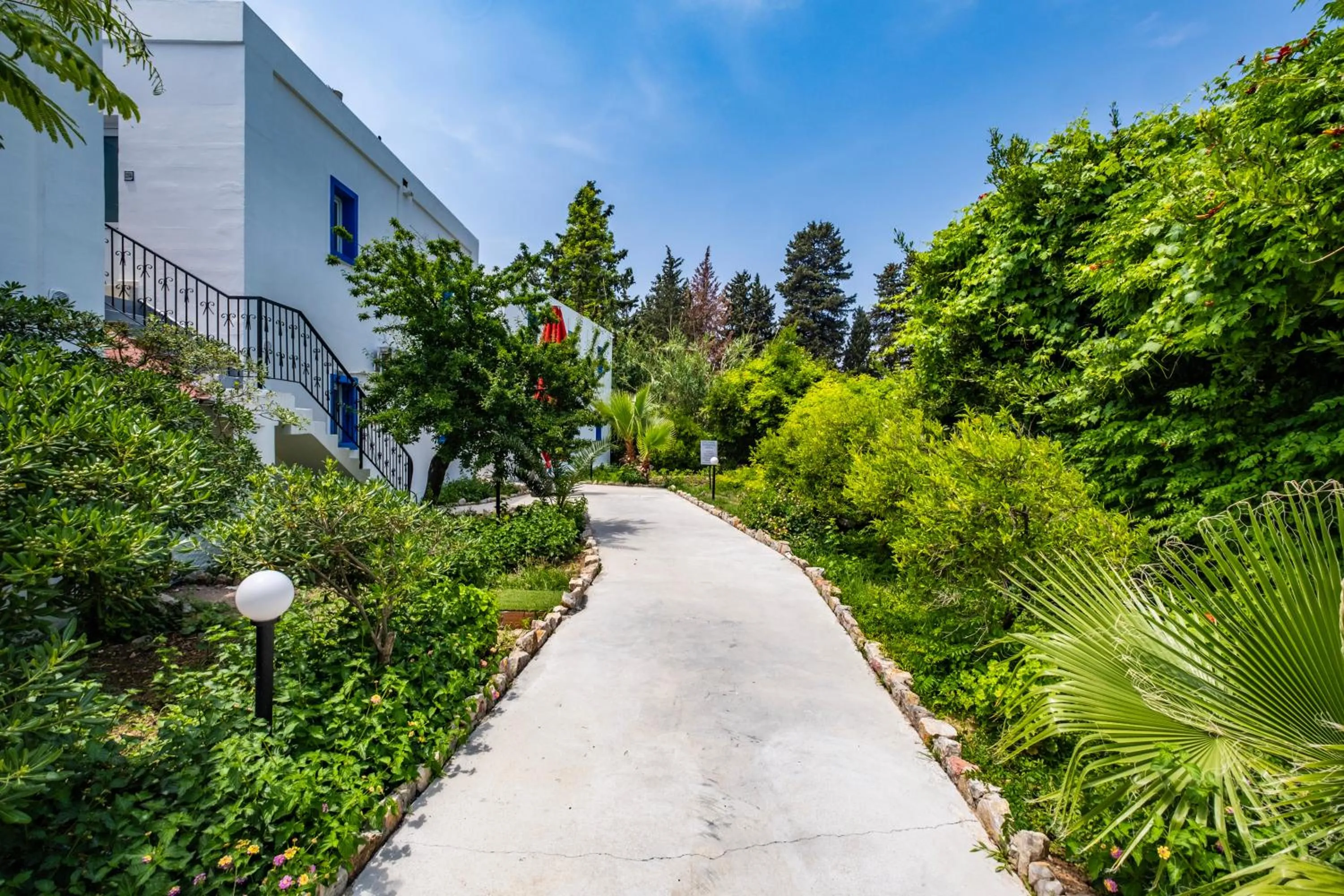 On site in Paloma Family Club