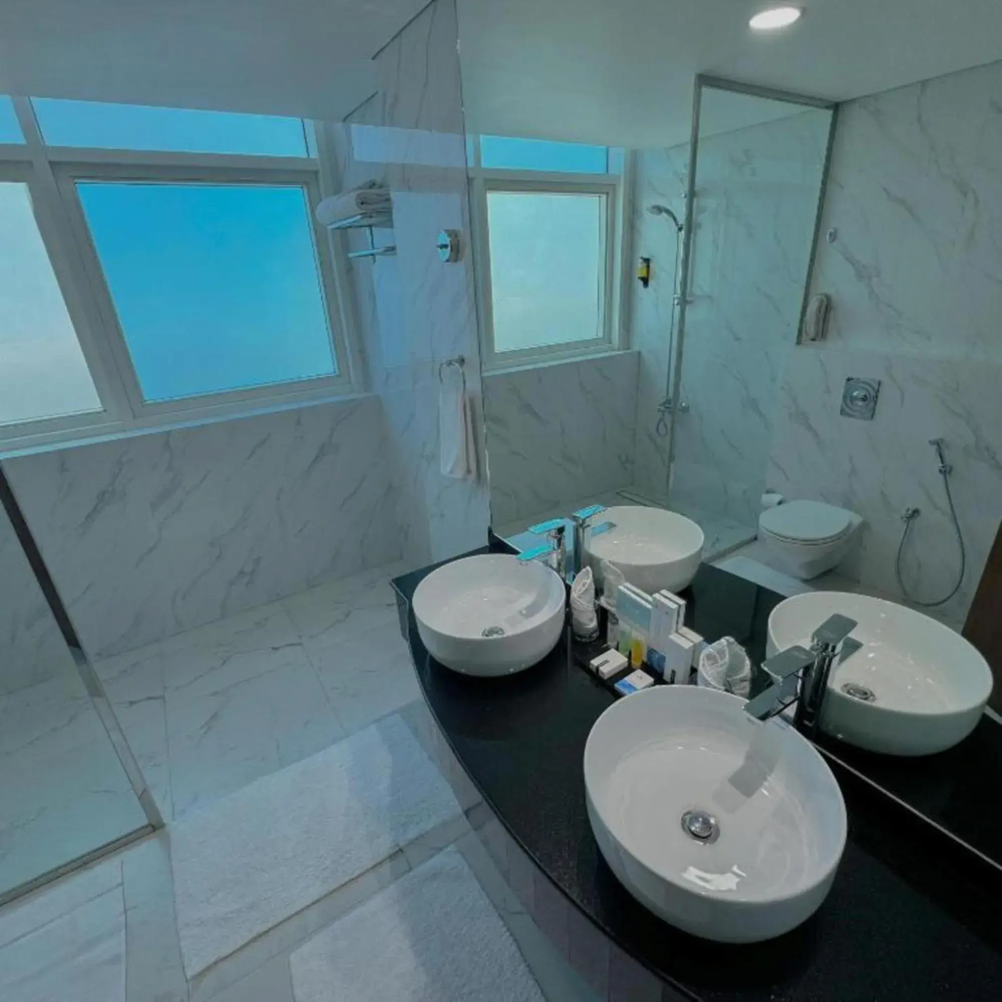 Bathroom in Emirates Grand Hotel Opposite DIFC Bathroom in Emirates Grand Hotel Opposite DIFC