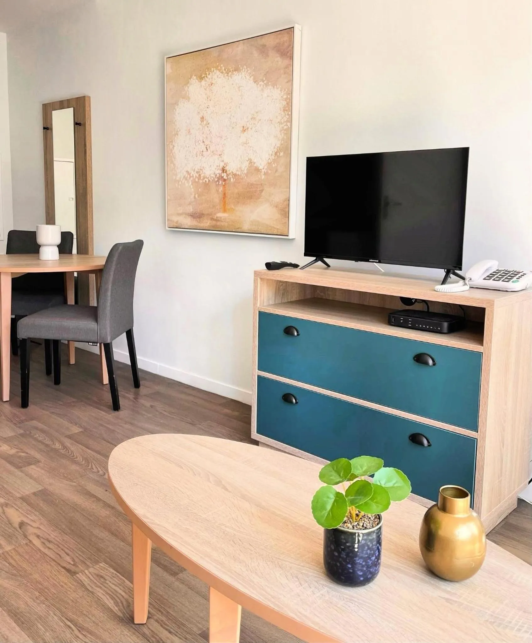 TV and multimedia in Zenao Appart'hôtels Wintzenheim