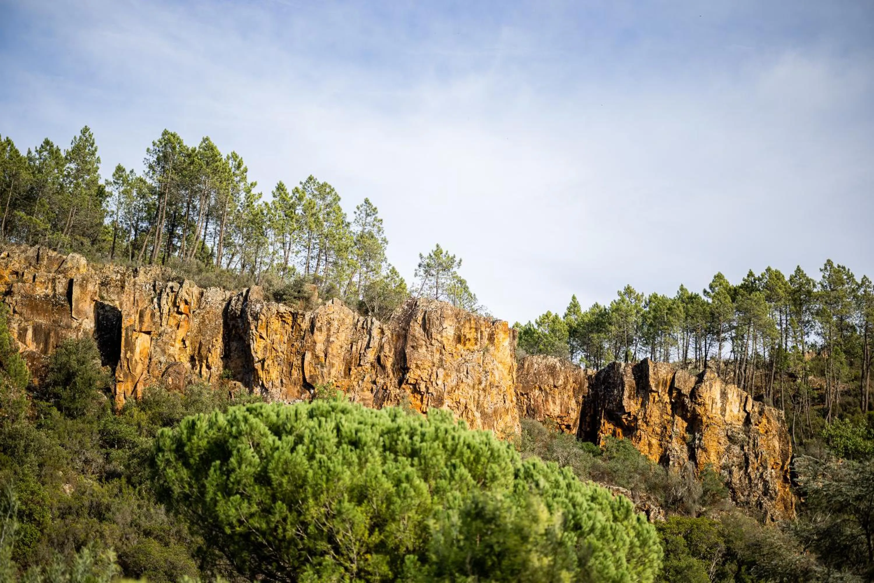 Natural landscape in Hostellerie Les Gorges De Pennafort