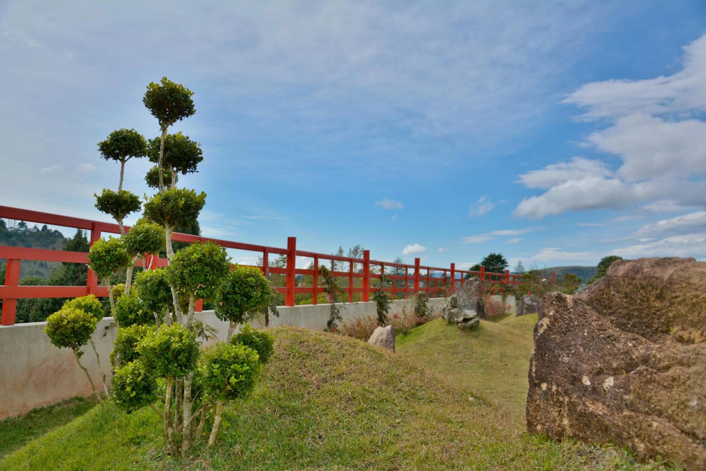 Garden view in Matsubara Pousada