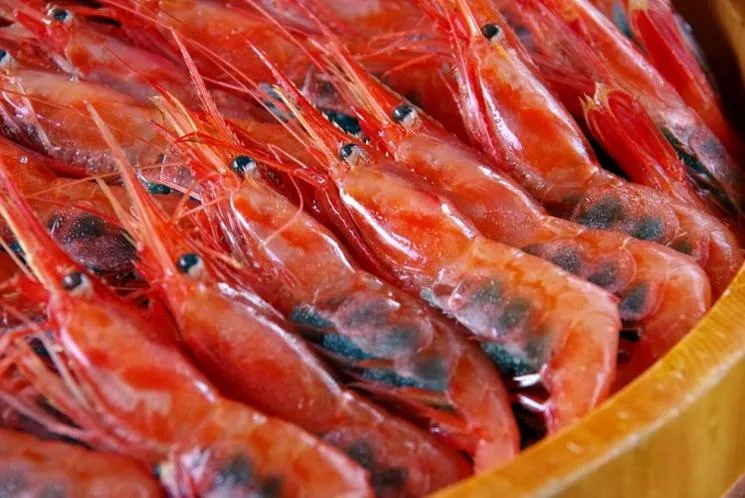 Hotel Kunitomi Suisennkaku