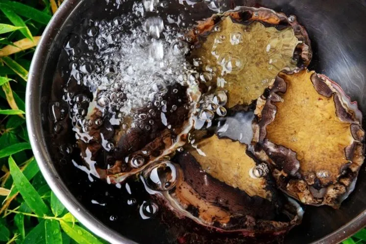 Hotel Kunitomi Suisennkaku