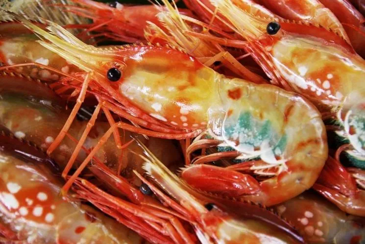 Hotel Kunitomi Suisennkaku