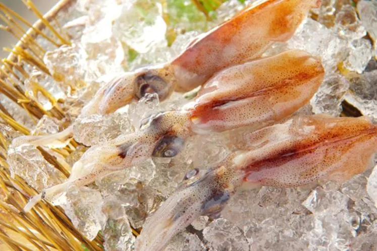 Hotel Kunitomi Suisennkaku