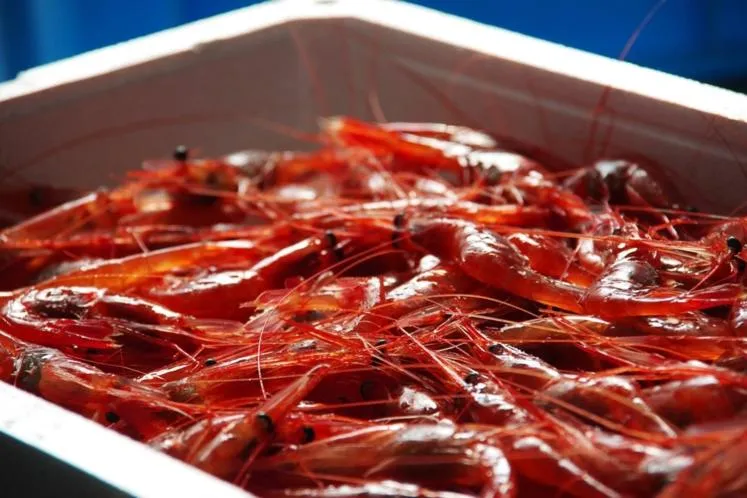 Hotel Kunitomi Suisennkaku