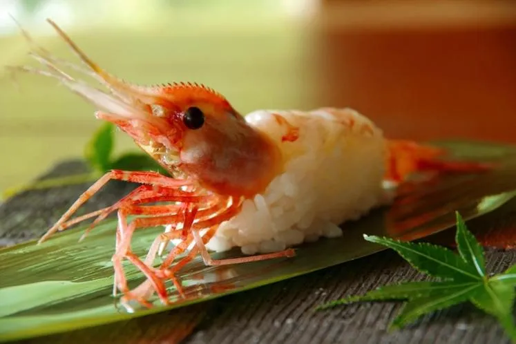 Hotel Kunitomi Suisennkaku