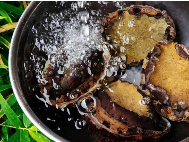 Hotel Kunitomi Suisennkaku