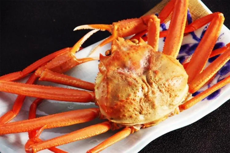 Hotel Kunitomi Suisennkaku