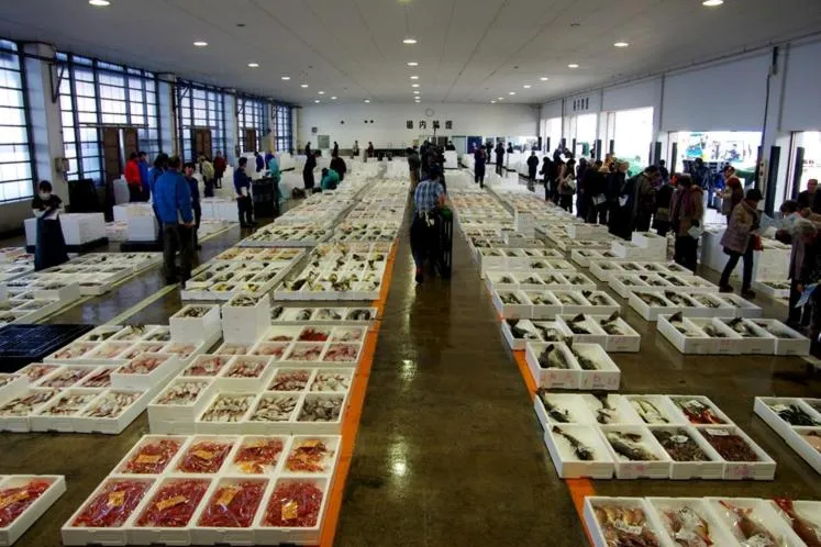 Hotel Kunitomi Suisennkaku