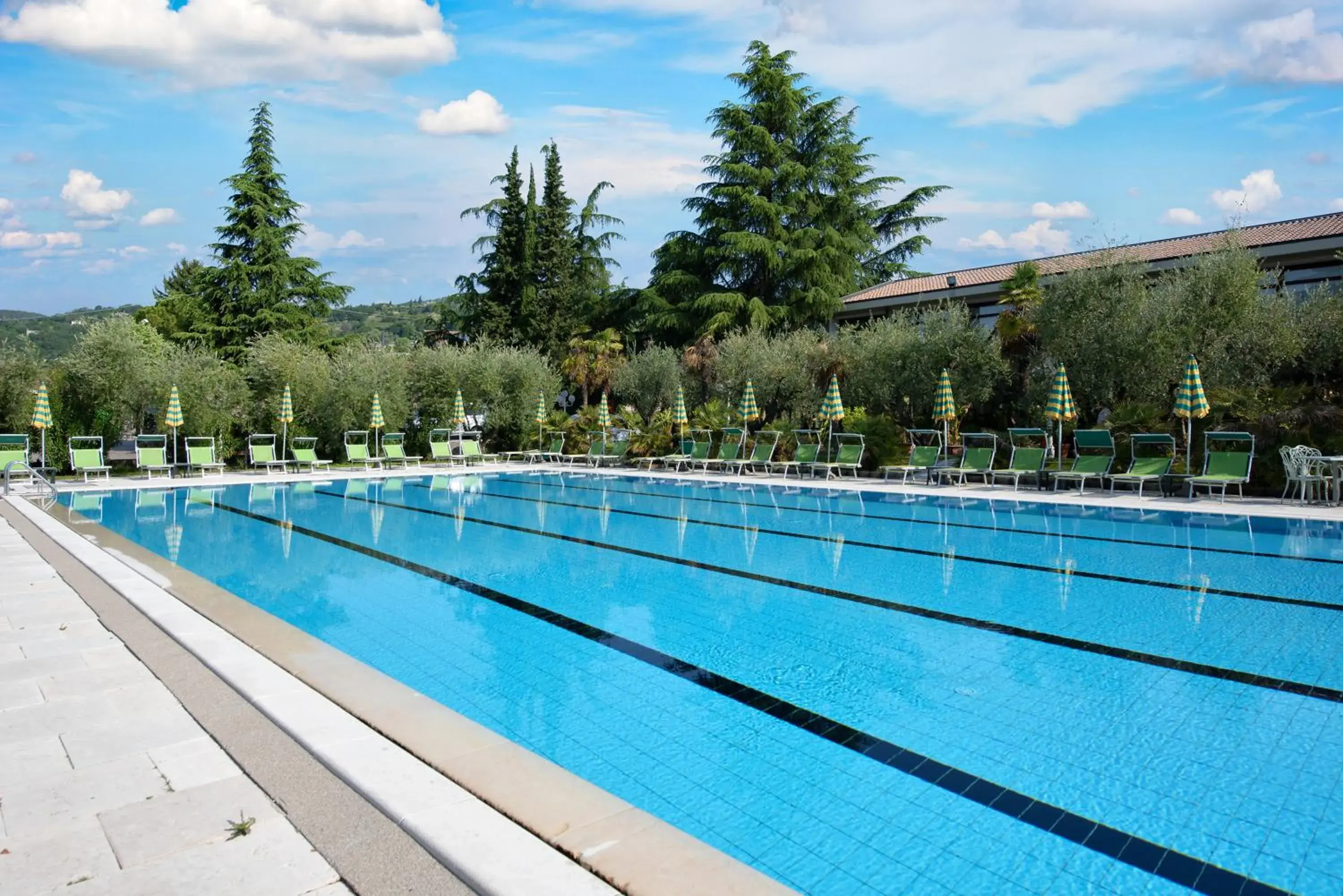 Pool view, Swimming Pool in Parkhotel Oasi