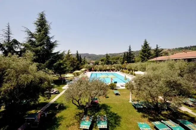 Day, Pool View in Parkhotel Oasi