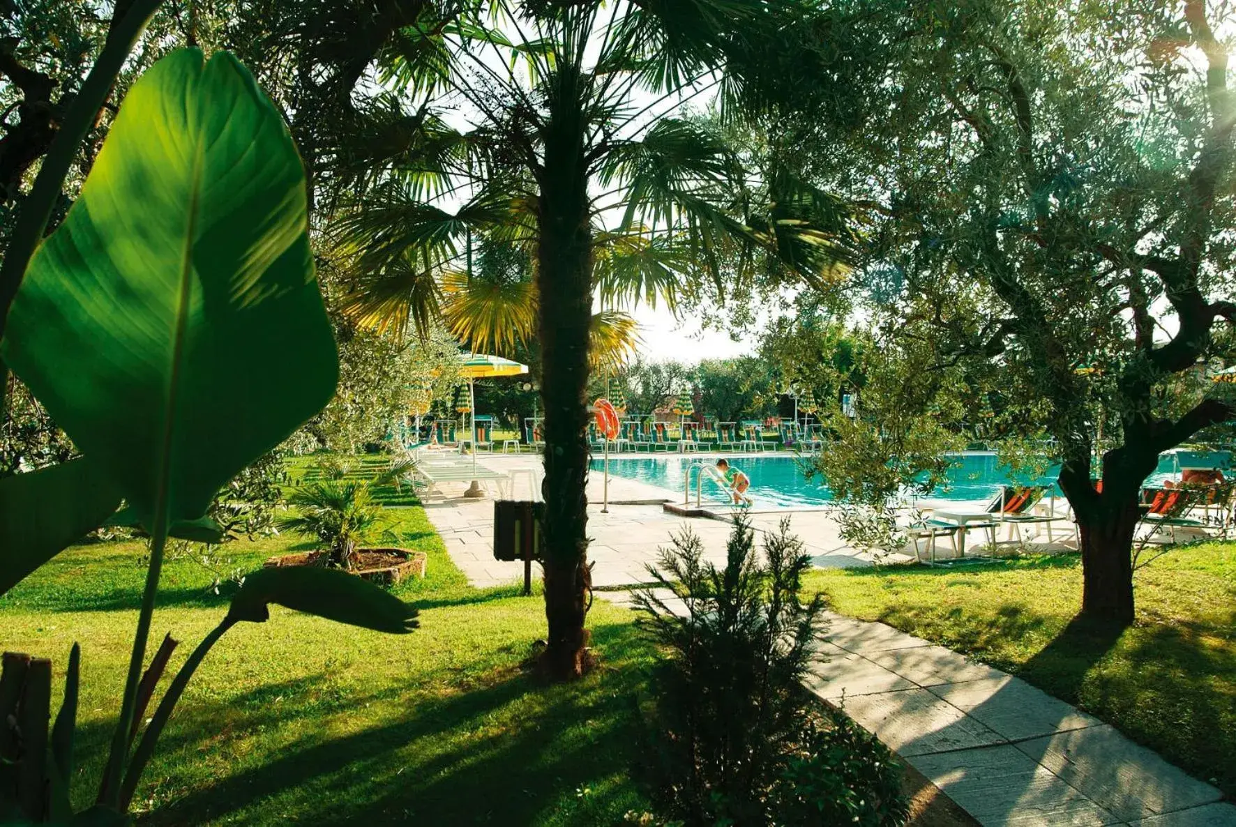 Day, Swimming Pool in Parkhotel Oasi