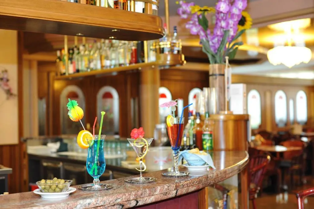 Lounge or bar in Park Hotel Oasi