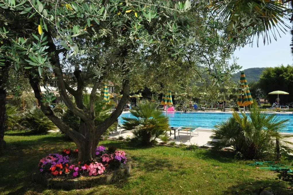 Day, Swimming Pool in Parkhotel Oasi