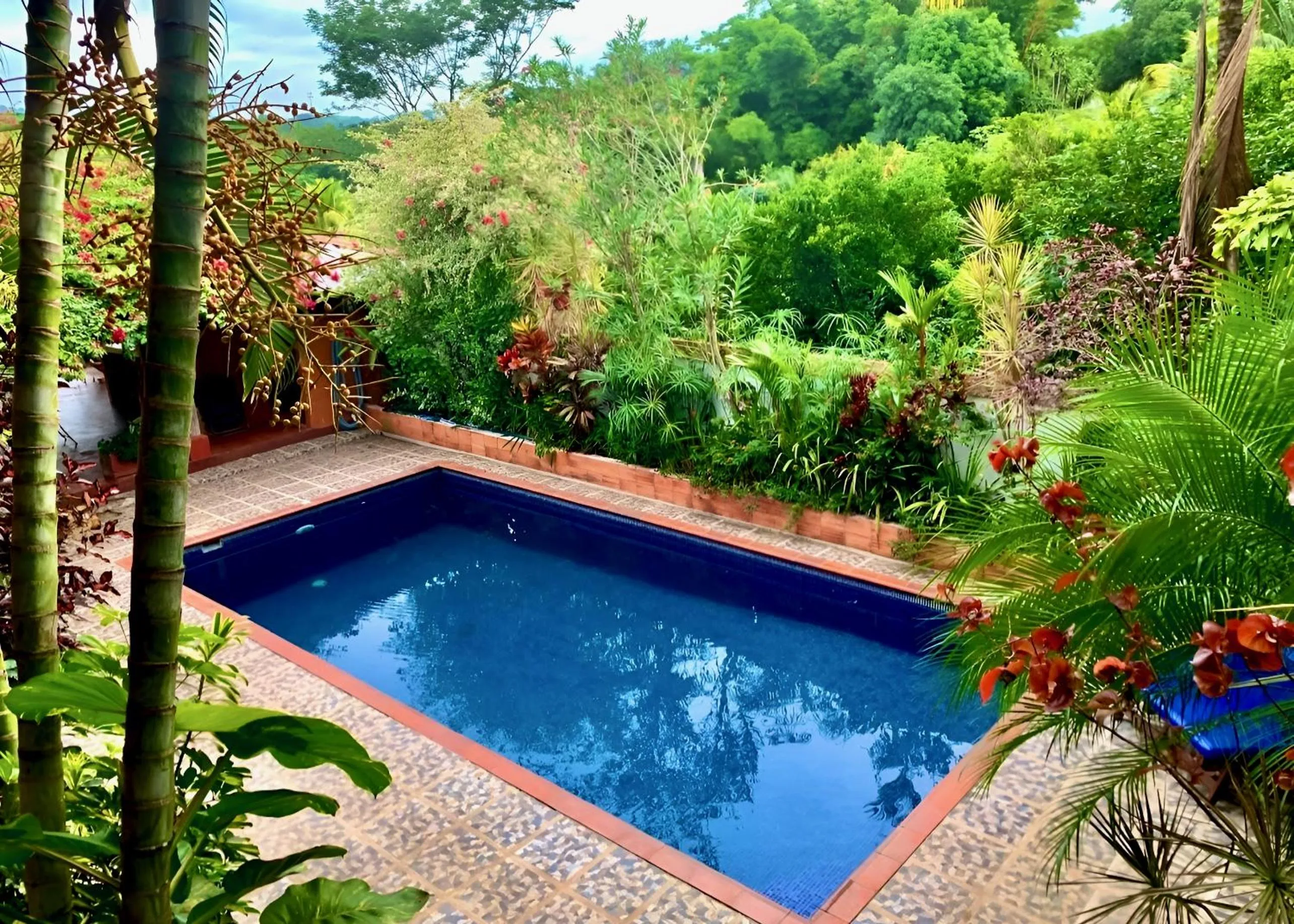 Garden view in Eden Atenas Costa Rica