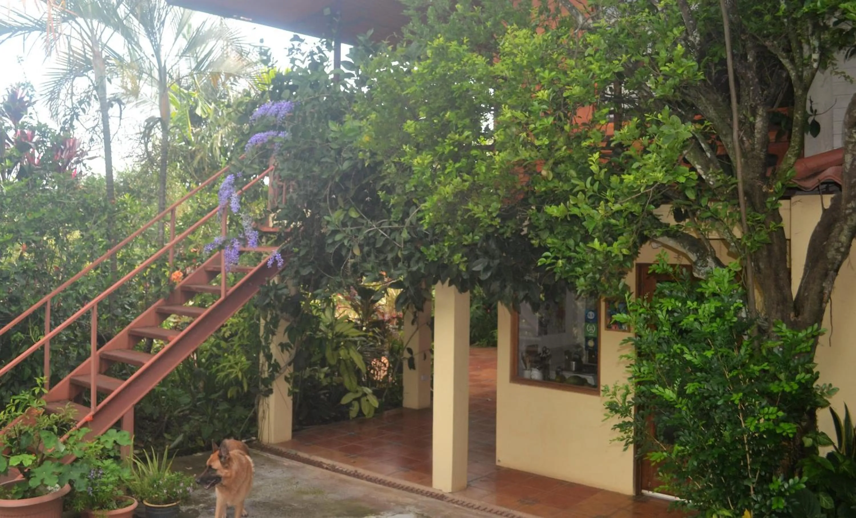 Facade/entrance in Eden Atenas Costa Rica