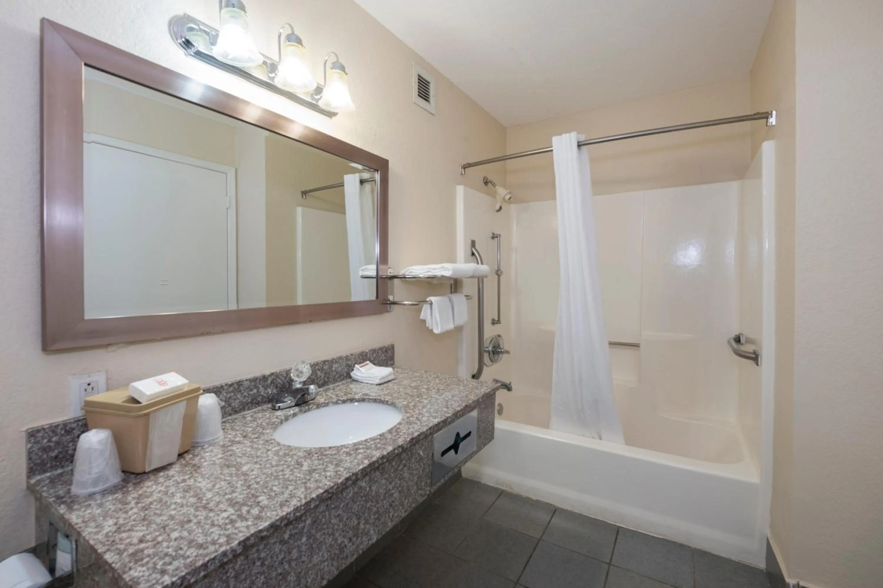 Bathroom in Red Roof Inn Mobile - Midtown