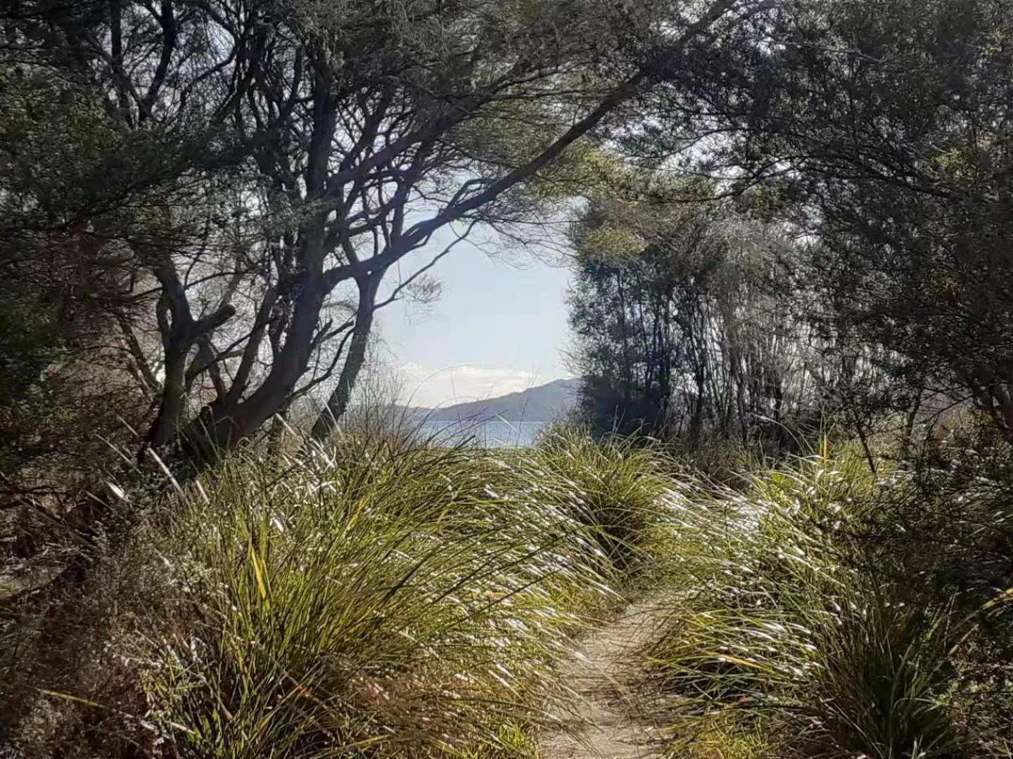 Spring in Cosy Cottage Thermal Holiday Park