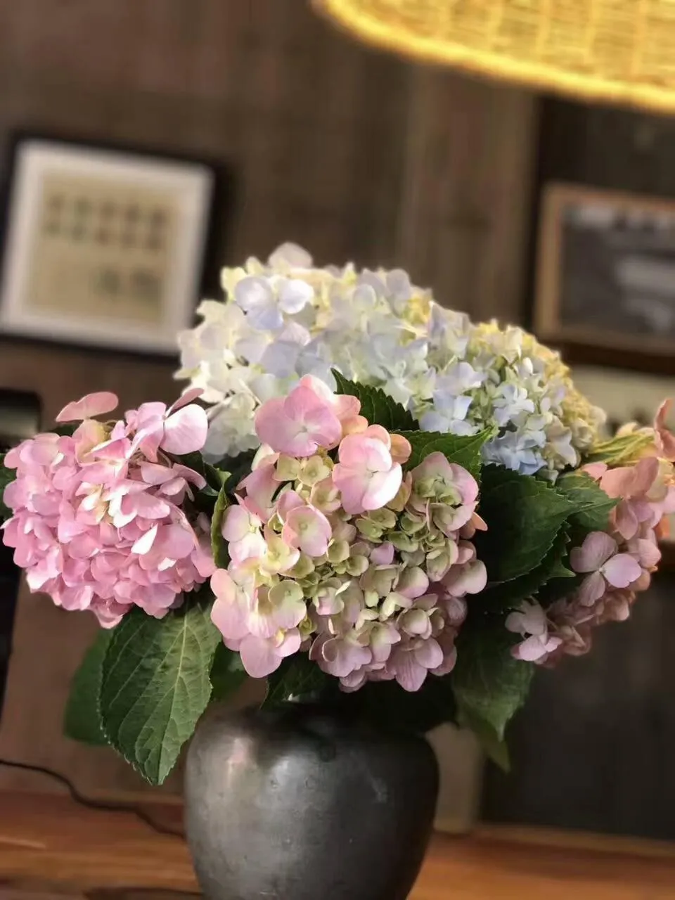 Day in September Huizhou Inn