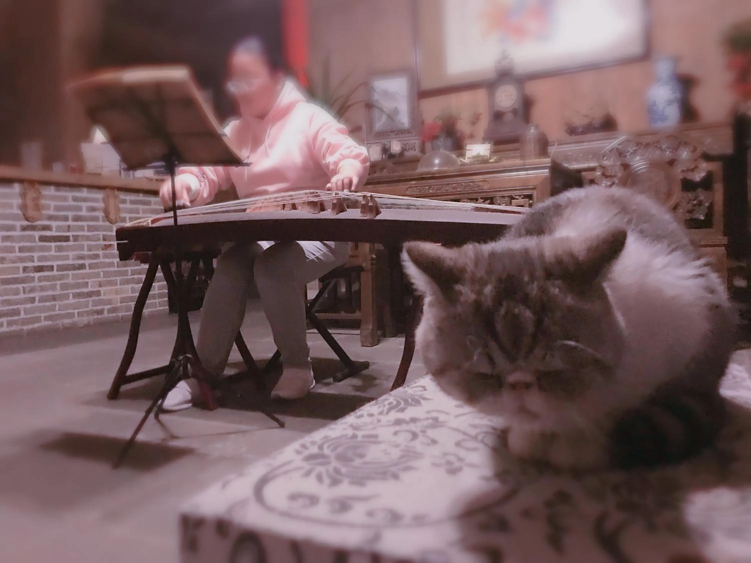 Lobby or reception in September Huizhou Inn